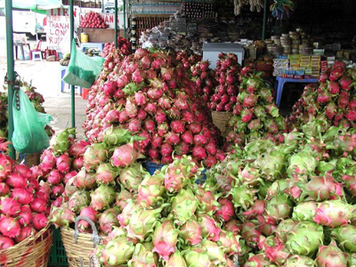VN to establish agro-product trading floor